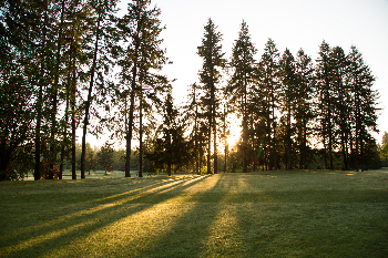 Course greens